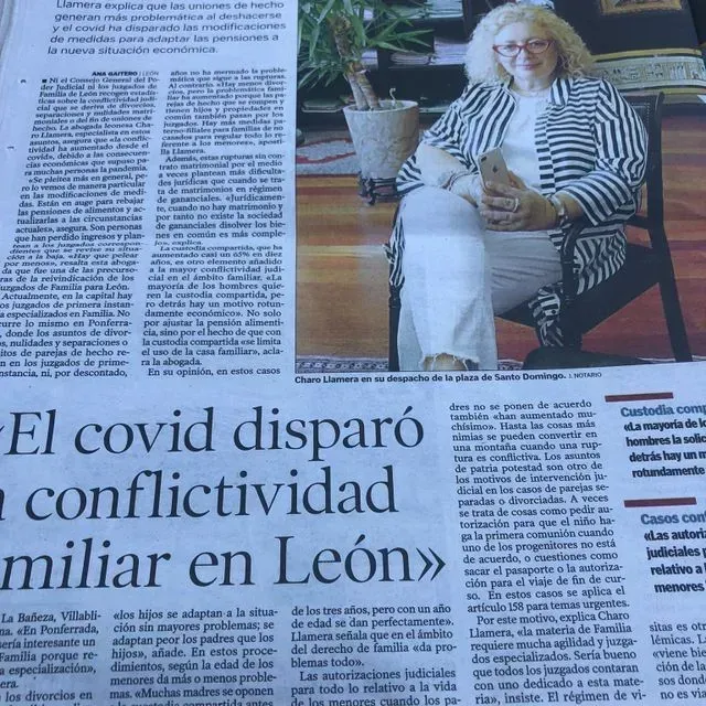 Llamera Abogadas - análisis de conflictividad familiar en León
